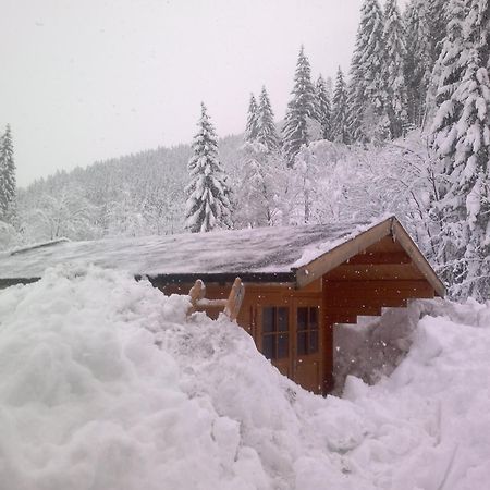 Appartement Schmittenblick Zell am See Eksteriør bilde