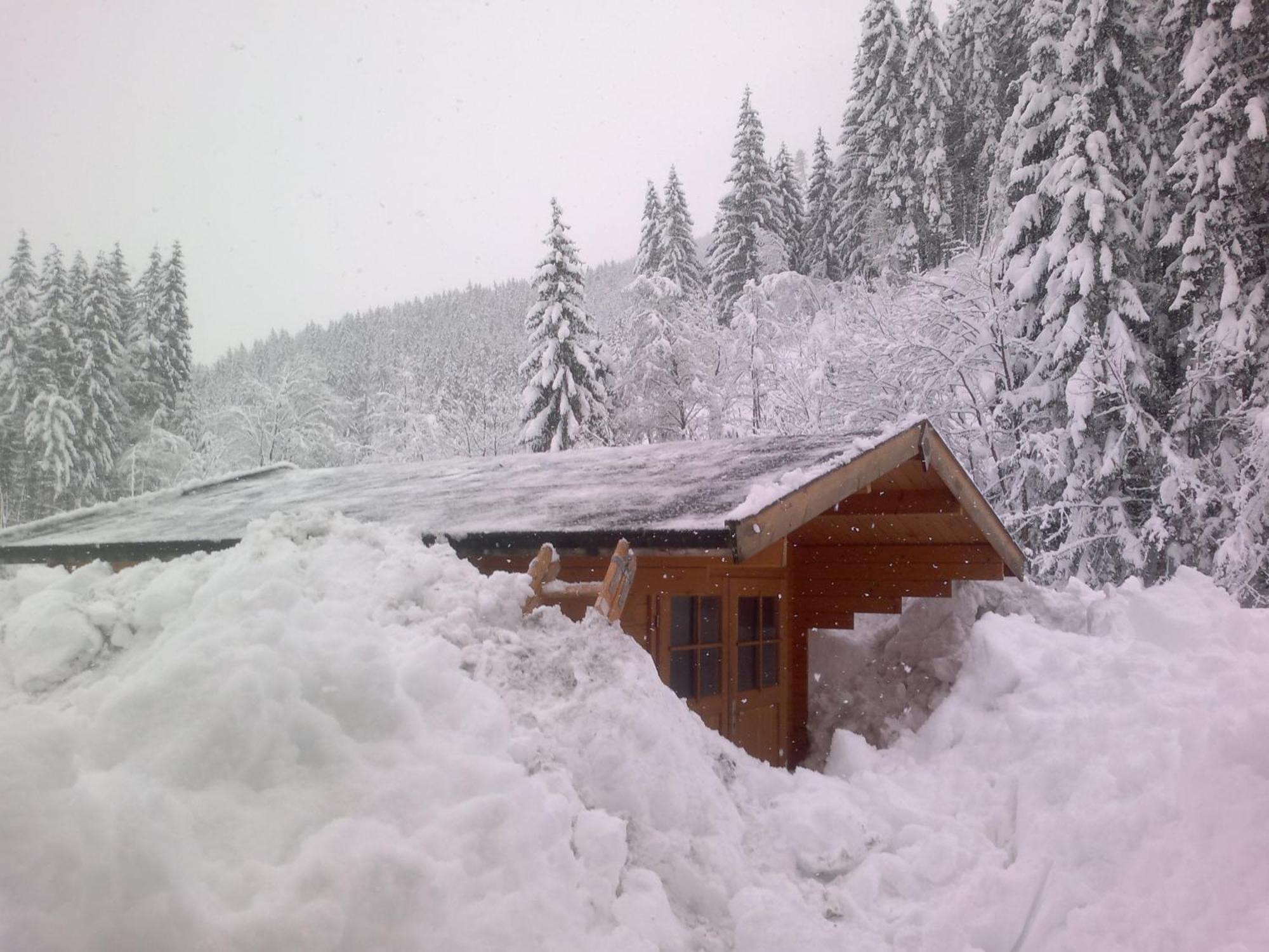 Appartement Schmittenblick Zell am See Eksteriør bilde